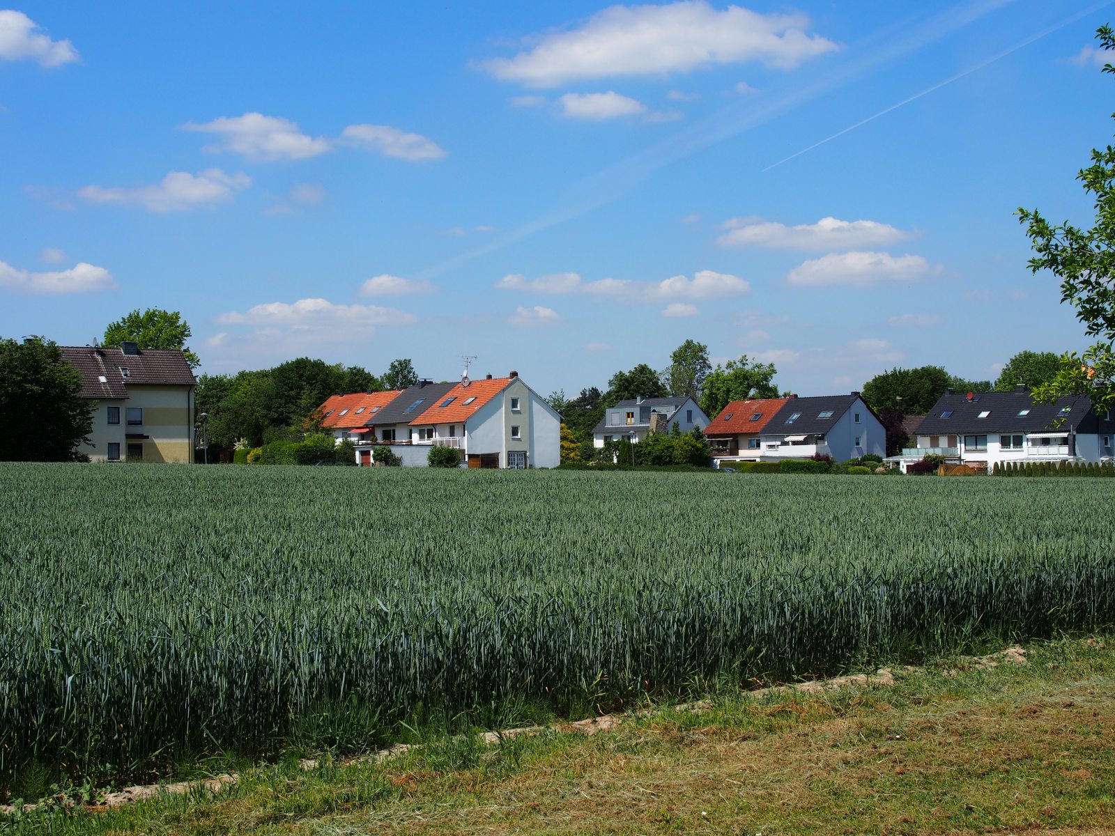 Dieses Bild hat ein leeres Alt-Attribut. Der Dateiname ist p-200527-113720-tb-boklimastadtgruen-r2120210.jpg