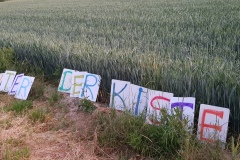 p-200526-214804-is-boklimagruen-hdk-mms-20200526-214804