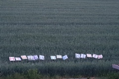 p-200526-220115-is-boklimagruen-hdk-mms-20200526-220115