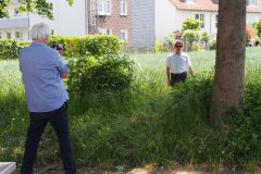 p-200527-120740-tb-boklimastadtgruen-r2120231.jpg Mai 27, 2020