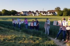 p-200528-201810-is-boklimagruen-hdk-mms-20200528-201810