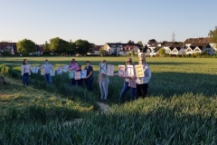 p-200528-201858-is-boklimagruen-hdk-mms-20200528-201858