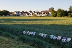 p-200528-202541-is-boklimagruen-hdk-mms-20200528-202541