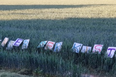 p-200528-202550-is-boklimagruen-hdk-mms-20200528-202550