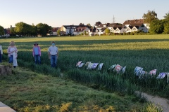 p-200528-202750-is-boklimagruen-hdk-mms-20200528-202750