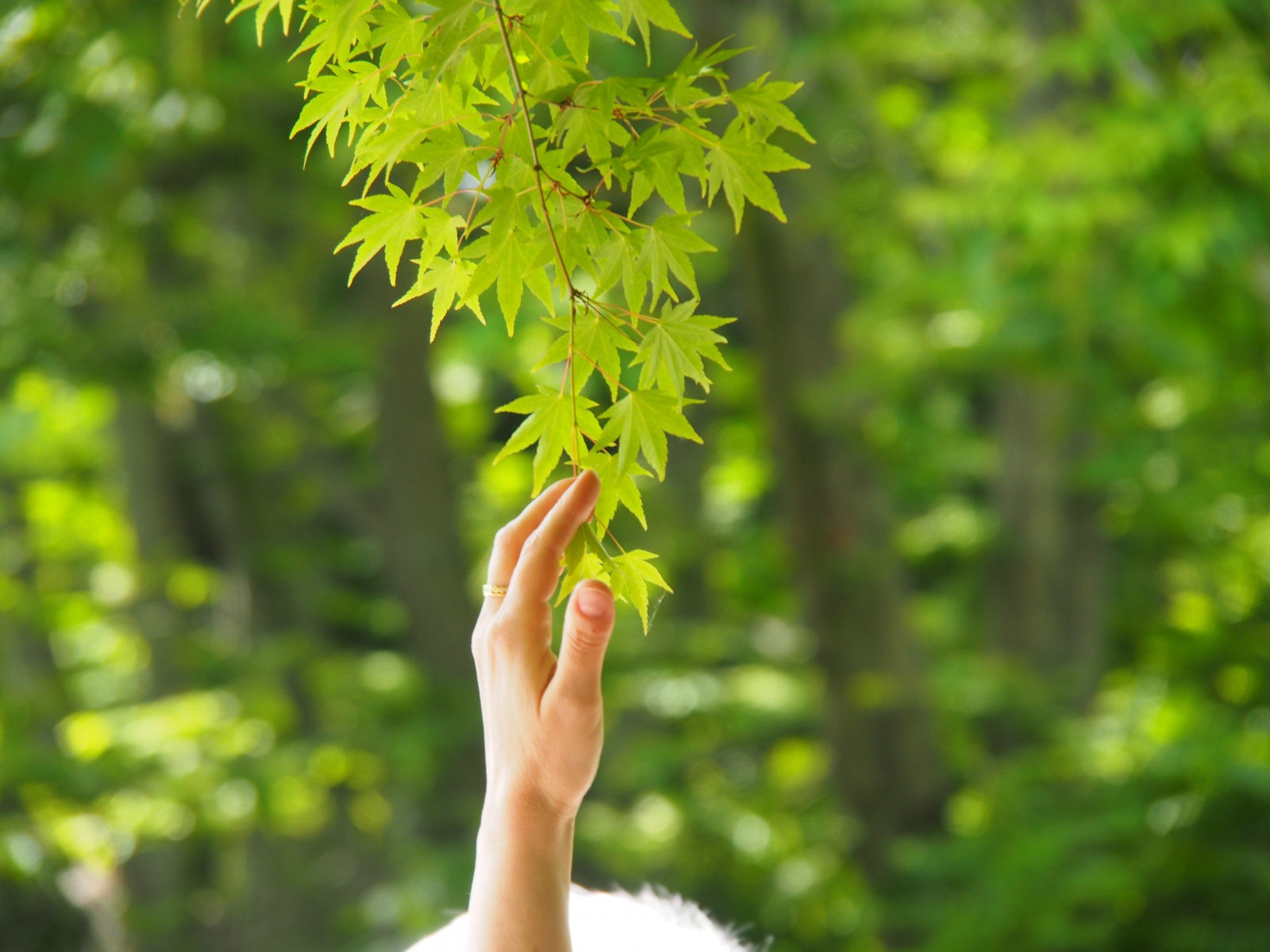 Dieses Bild hat ein leeres Alt-Attribut. Der Dateiname ist p-200527-132551-tb-boklimastadtgruen-r2120271.jpg
