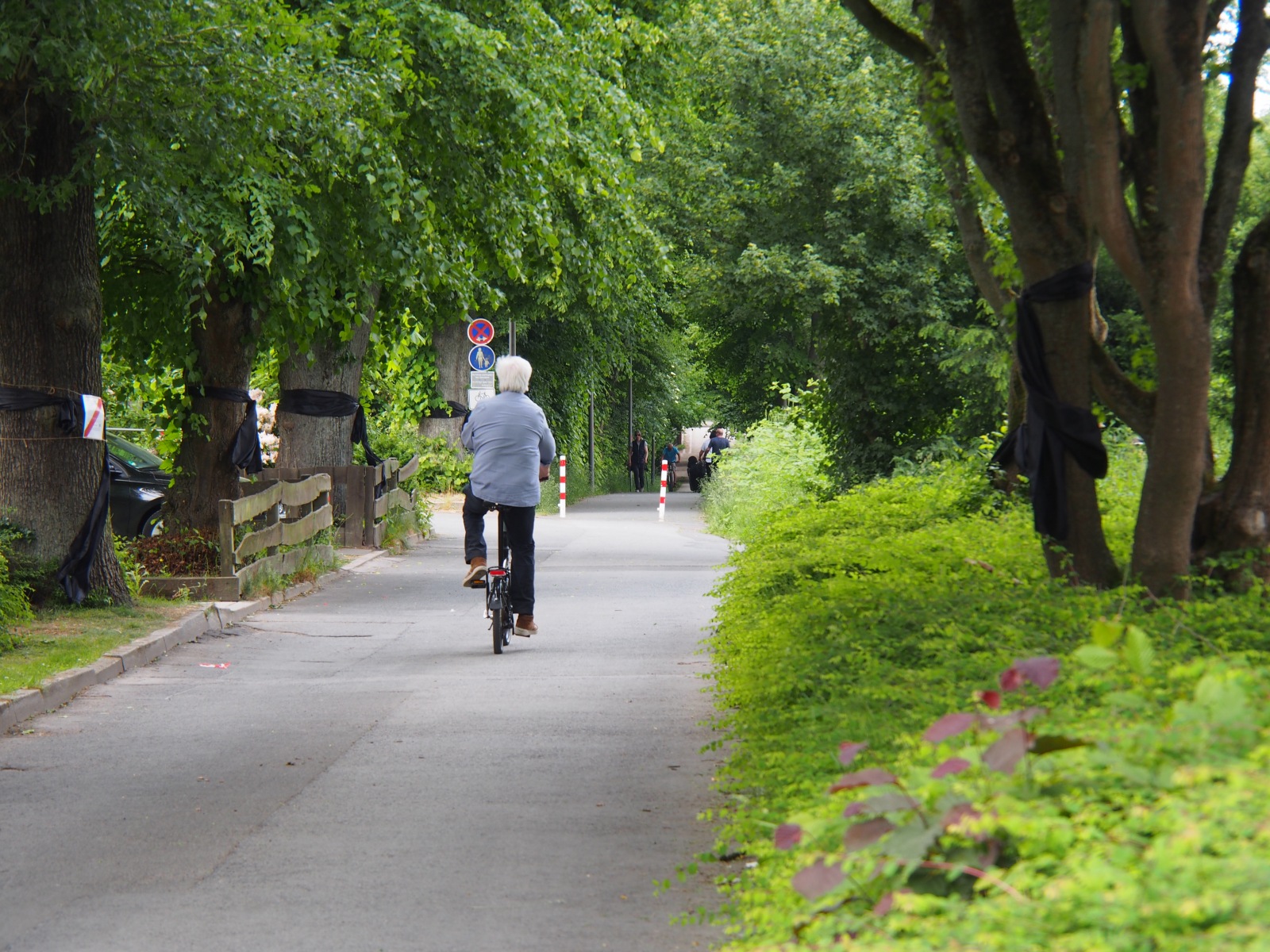 Dieses Bild hat ein leeres Alt-Attribut. Der Dateiname ist p-200527-140809-tb-boklimastadtgruen-r2120318.jpg