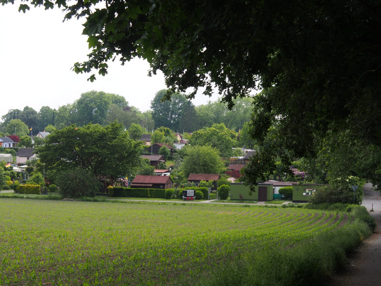 Dieses Bild hat ein leeres Alt-Attribut. Der Dateiname ist p-200527-151307-tb-boklimastadtgruen-r2120327.jpg