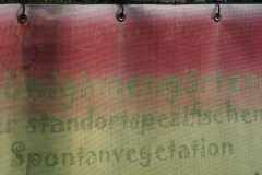 p-200527-152853-tb-boklimastadtgruen-r2120345