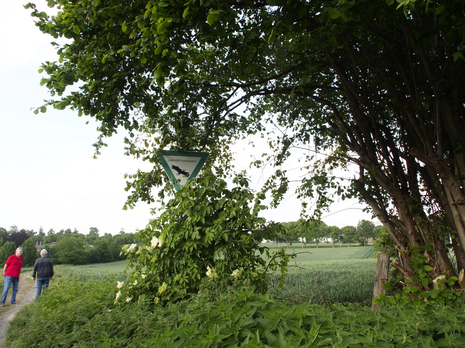 Dieses Bild hat ein leeres Alt-Attribut. Der Dateiname ist p-200527-171758-tb-boklimastadtgruen--r510389.jpg