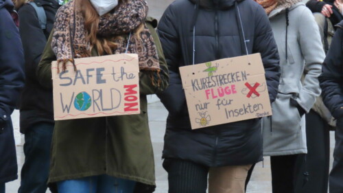 p-220114-155301-tb-fff-demo-hbfrat-tb-img-6538